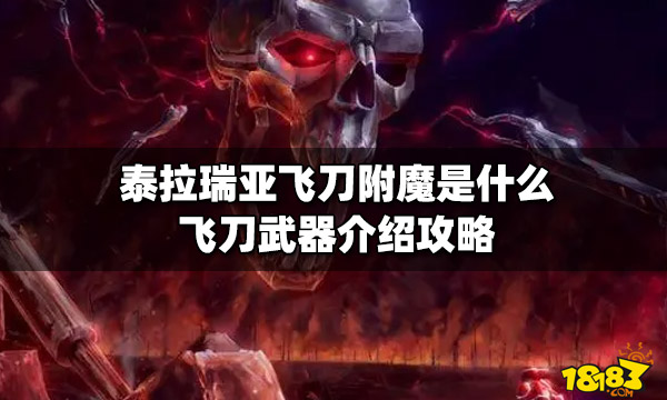 泰拉瑞亚飞刀附魔是什么飞刀武器介绍攻略 