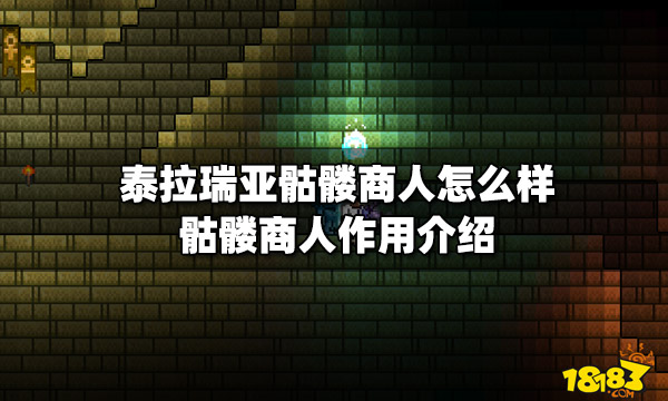 泰拉瑞亚骷髅商人怎么样骷髅商人作用介绍