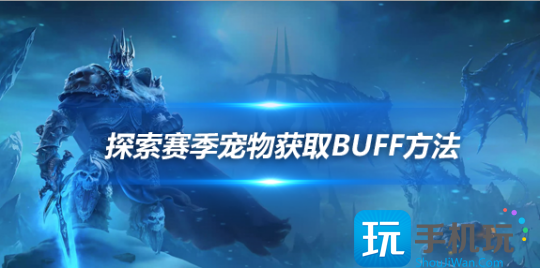 魔兽世界探索赛季猎人术士宠物卡BUFF方法-猎人术士宠物怎么卡BUFF 