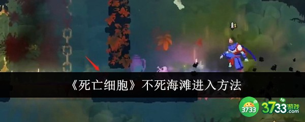 死亡细胞不死海滩怎么进入-不死海滩进入方法 