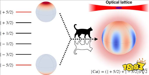 爱护猫猫！中国科学家让“薛定谔的猫”活了20多分钟！