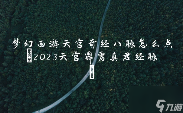 梦幻西游天宫奇经八脉怎么点2023天宫霹雳真君经脉 