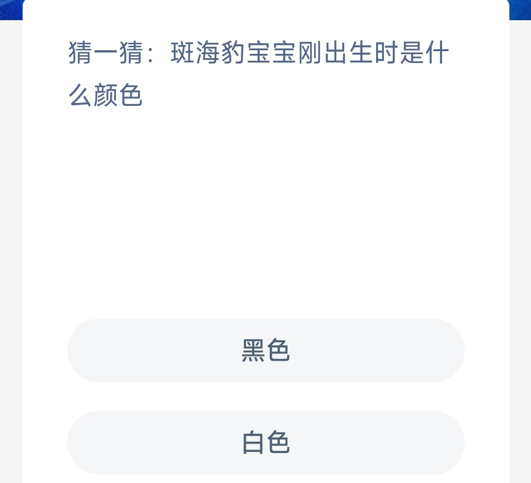 神奇海洋今日答案最新11.16-猜一猜斑海豹宝宝刚出生时是什么颜色
