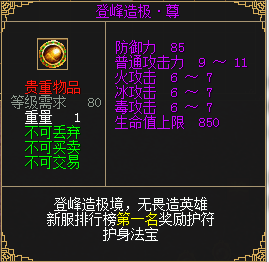 图24 登峰造极·尊护符.png