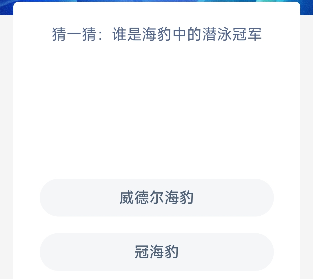 猜一猜谁是海豹中的潜泳冠军-神奇海洋11.17日答案