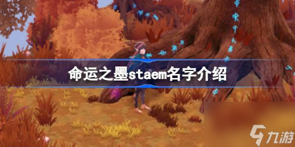 命运之墨staem名字介绍 