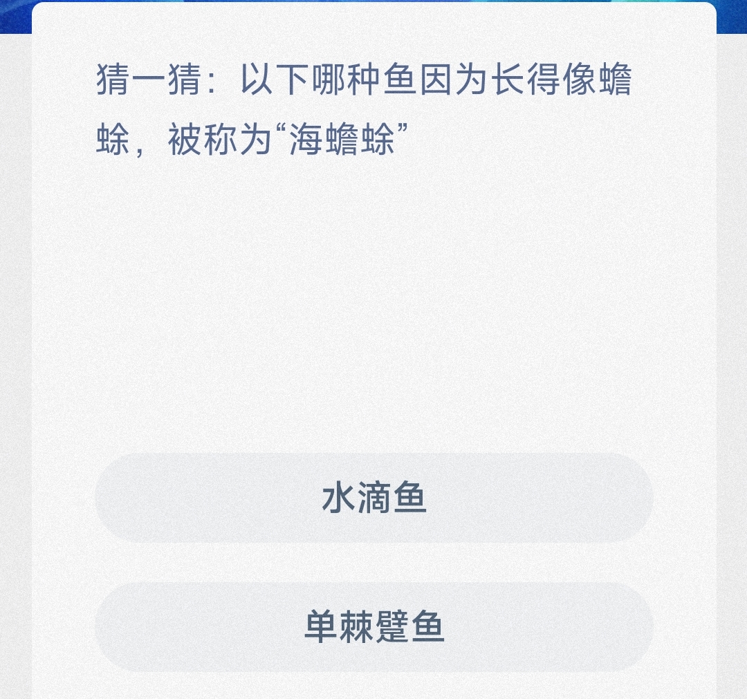 神奇海洋1月8日答案是什么-猜一猜以下哪种鱼因为长得像蟾蜍被称为海蟾蜍