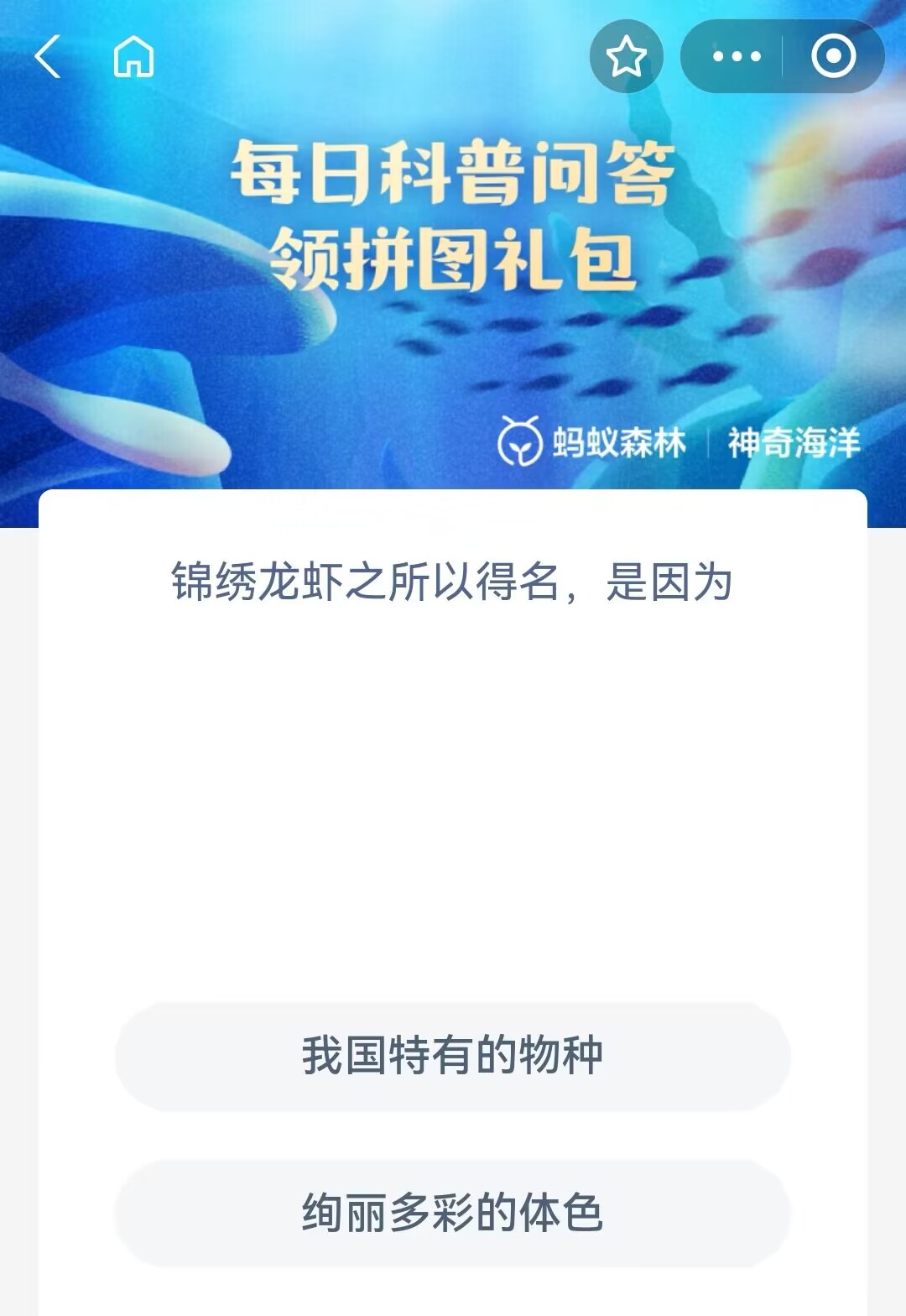 锦绣龙虾名字的由来-神奇海洋1.22日答案