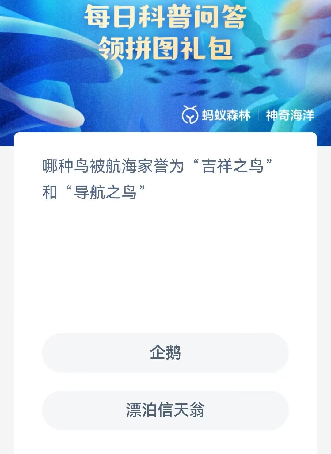 神奇海洋1月26日答案最新版-哪种鸟被航海家誉为吉祥之鸟和导航之鸟