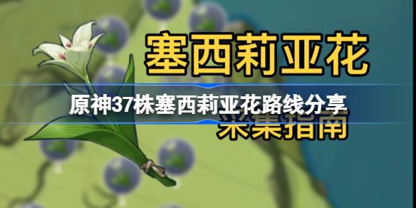 原神4.4塞西莉亚花全采集路线-原神37株塞西莉亚花路线分享