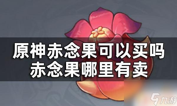 原神赤念果在哪里购买哪里可以购买到原神赤念果