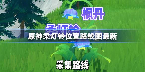 原神柔灯铃采集点位一览-原神柔灯铃位置路线图最新