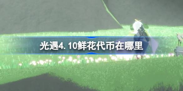 光遇4.10鲜花代币在哪里-光遇4月10日花憩节活动代币收集攻略