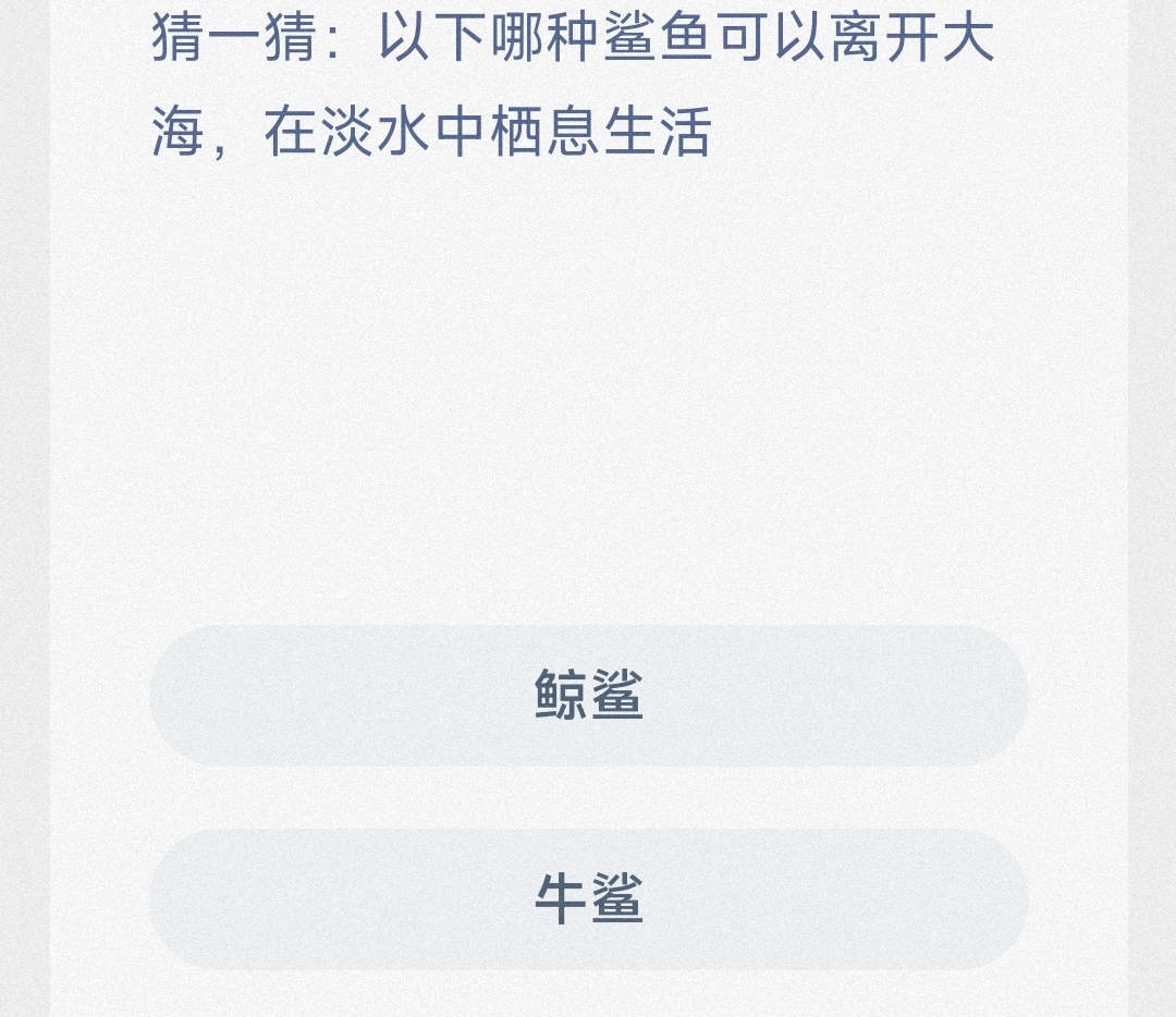 神奇海洋4月12日答案是什么-猜一猜以下哪种鲨鱼可以离开大海在淡水中栖息生活 