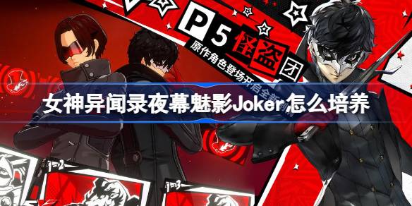 女神异闻录夜幕魅影Joker怎么培养-女神异闻录夜幕魅影Joker培养攻略 