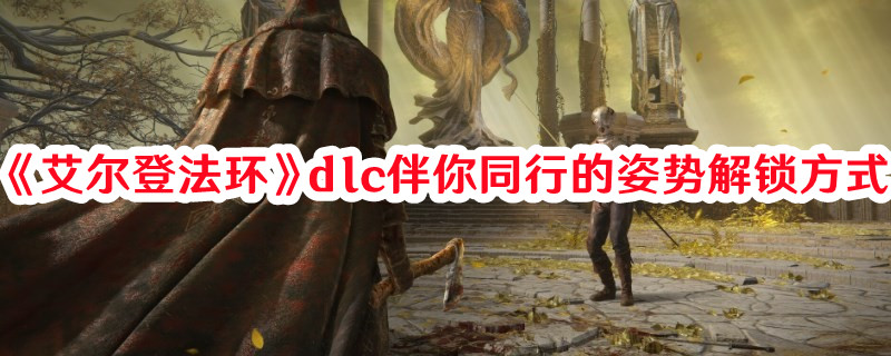 《艾尔登法环》dlc伴你同行的姿势解锁方式