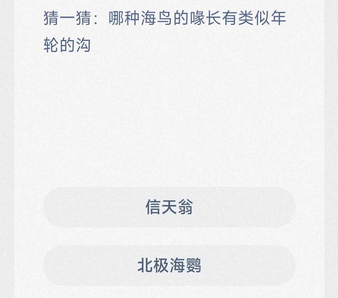 猜一猜:哪种海鸟的喙长有类似年轮的沟-最新神奇海洋答案7月3日