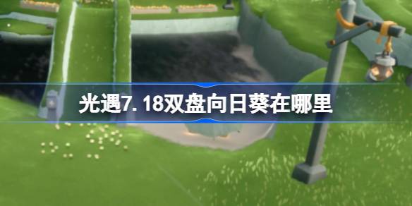 光遇7.18双盘向日葵在哪里-光遇7月18日有友节代币收集攻略