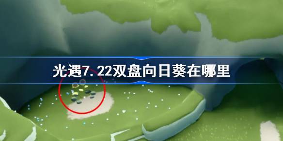 光遇7.22双盘向日葵在哪里-光遇7月22日有友节代币收集攻略