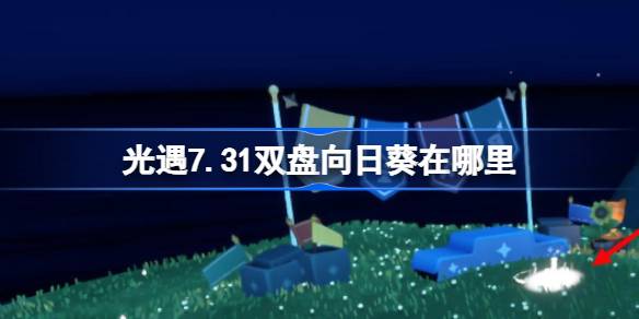 光遇7.31双盘向日葵在哪里-光遇7月31日有友节代币收集攻略