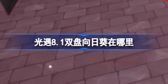 光遇8.1双盘向日葵在哪里-光遇8月1日有友节代币收集攻略