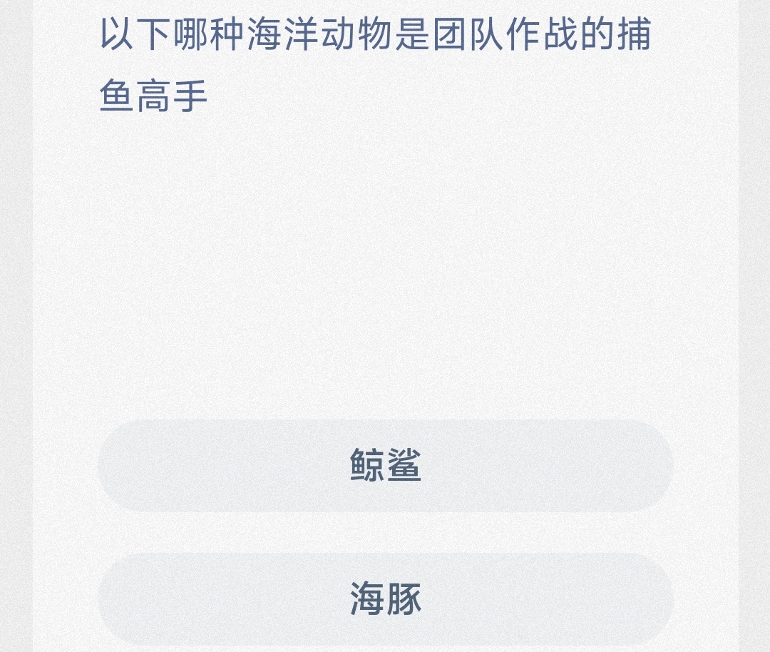以下哪种海洋动物是团队作战的捕鱼高手 最新神奇海洋答案8月5日