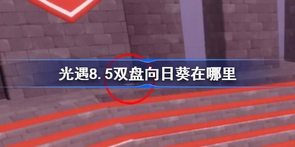 光遇8.5双盘向日葵在哪里-光遇8月5日有友节代币收集攻略