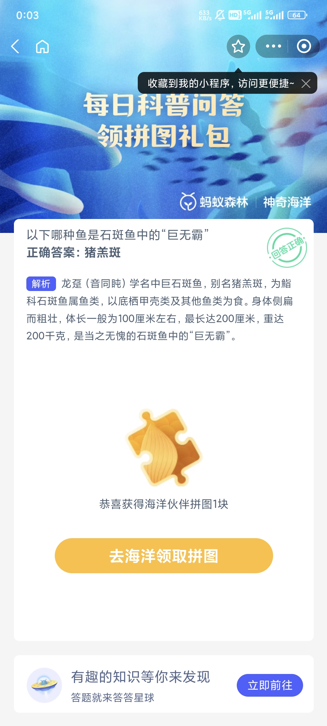 以下哪种鱼是石斑鱼中的巨无霸-神奇海洋8月13日答案