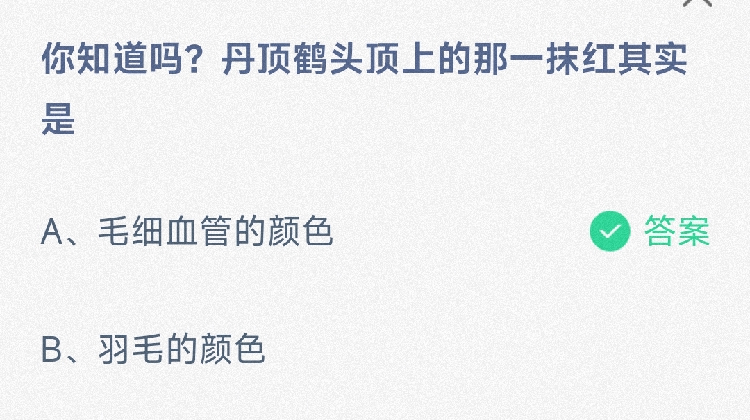 你知道吗?丹顶鹤头顶上的那一抹红其实是毛细血管的颜色还是羽毛的颜色-蚂蚁庄园9.11日答案