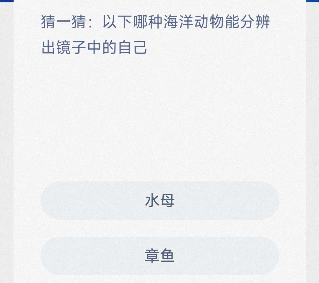 猜一猜:以下哪种海洋动物能分辨出镜子中的自己 最新神奇海洋答案10月16日