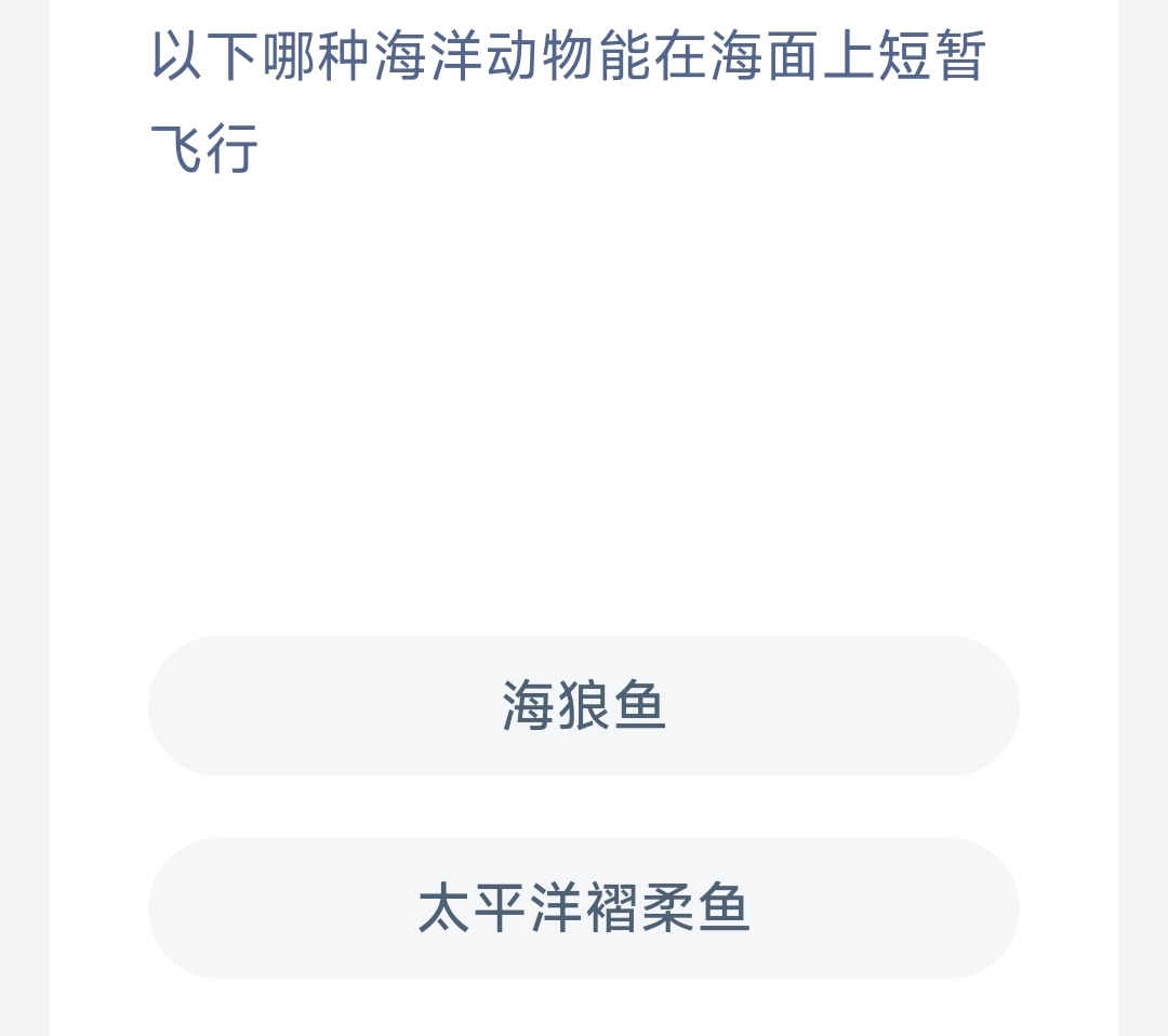 以下哪种海洋动物能在海面，上短暂飞行 最新神奇海洋答案12月12日