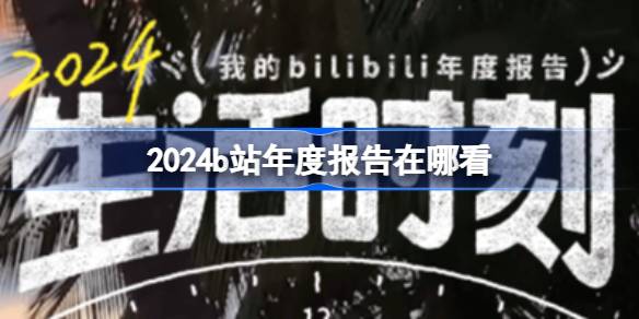 2024b站年度报告在哪看-b站年度报告2024地址分享